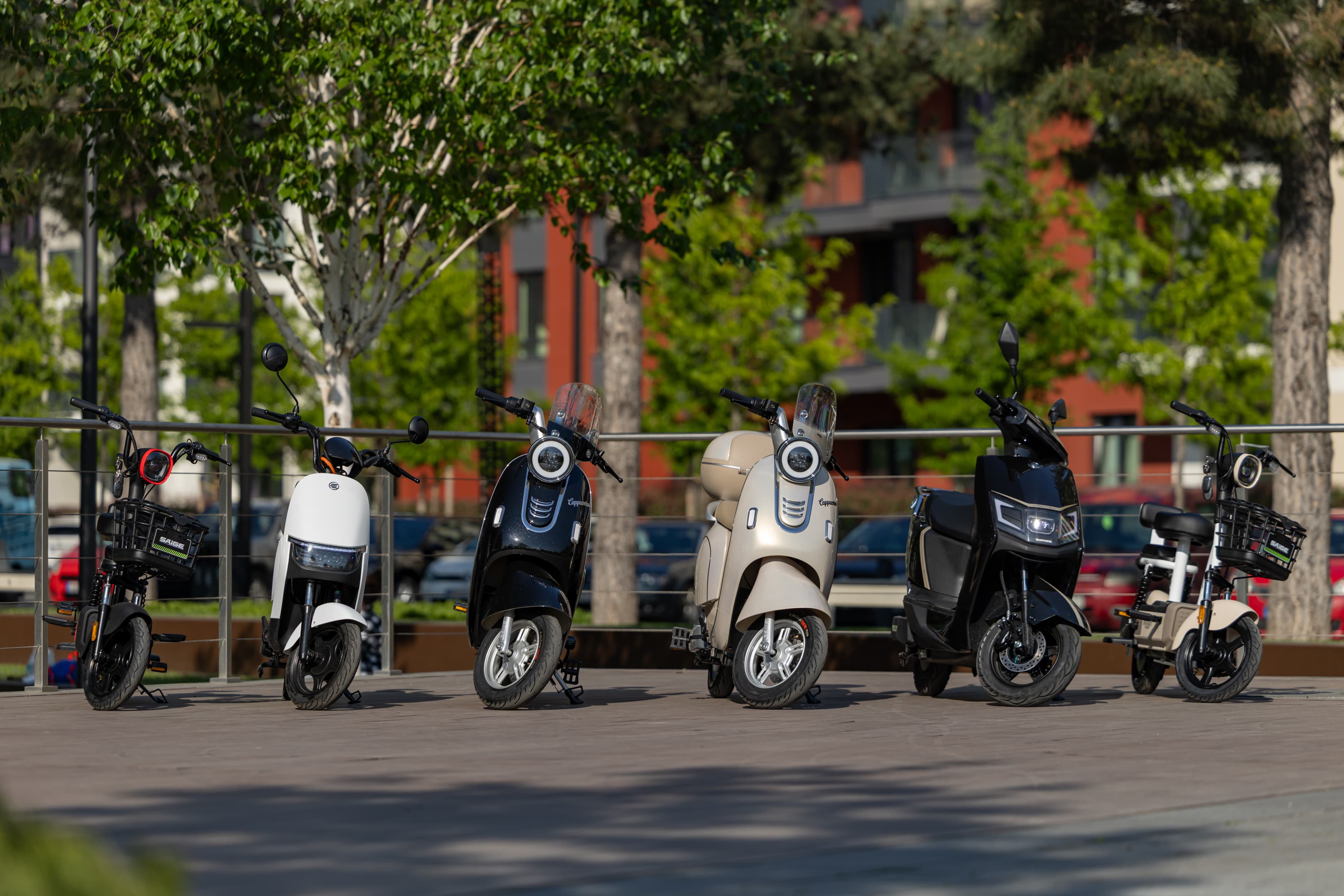 BeeBike online store — a Shopify store and automatic supplier sync